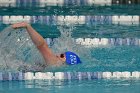 Women's Swimming & Diving  Wheaton College Women’s Swimming & Diving vs Mount Holyoke College. - Photo by Keith Nordstrom : Wheaton, Swimming & Diving